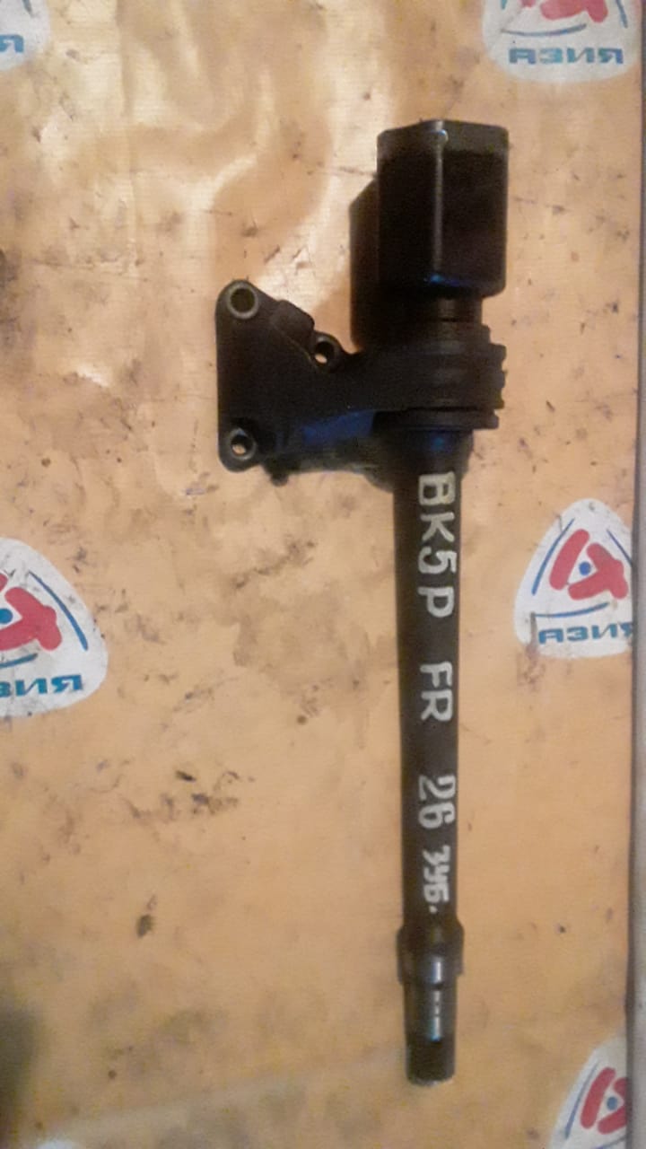 Bkep asia