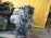 Двигатель TOYOTA 1NZ-FXE-0005557 Prius NHW10