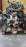 Двигатель Toyota 1GD-FTV-8253714 БЕЗ ГЕНЕРАТОРА КОНДЕРА ГУР Land Cruiser Prado GDJ150 '2018-