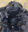 Двигатель Mazda WL-T-398853 Bongo Friendee SGLR