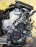 Двигатель Nissan YD25-DDT-006700A 4WD Presage/Serena U30/C24