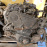 Двигатель Toyota 3C-TE-3938810 2WD Corona Premio CT211
