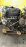Двигатель Mazda FE-956929 DOHC 16VALVE Capella