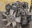 Двигатель Toyota 1G-FE-6067049 задний привод a/t GX90