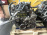Двигатель Nissan CG13-253165A БЕЗ ТРАМБЛЕРА Cube AZ10