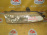 Фара Toyota 12-365 (81110-12780) прав Corolla Ceres AE101
