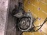 АКПП Toyota 5E 4E A244F 4WD без привода спидом Raum EXZ15