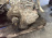 МКПП Mitsubishi 4D68 W5M311TPXL 4WD RVR