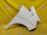 Крыло TOYOTA Alphard MNH10 '2002-2005 перед, прав (Белый перламутр)