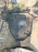Защита двигателя SUBARU BLE Legacy R бензобака 42045 AG010
