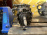 МКПП Toyota/Hino 15B Dyna#Ranger 6 ступ. диаметр: резьбы заднего вала хвостовика 23 мм., по центрам шпилек 115 мм. H260