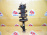 Стойка Nissan Y11/B15/G10 AD/Wingroad/Sunny/Bluebird Sylphy перед, лев 2/4WD