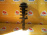 Стойка Mazda SG5W, SGE3, SGEW, SGL3, SGL5, SGLR, SGLW Bongo Friendee перед, прав 2WD=4WD 2A14898-A