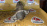 Стартер TOYOTA 1SZ 28100-23020/-23030