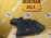 Защита двигателя NISSAN B15/Y11 Sunny R бок. 75893-4M420