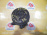 Ступица Toyota AT170/AT171/CT170/ST170/ST171 Carina/Corona зад, прав 2WD Без ABS. 4шпильки.Барабанные тормоза.В сборе с барабаном и колодками. 42304-32020.4