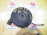 Ступица Toyota ZZT245/ZCT15 Allion/Premio/Opa зад, прав 4WD ABS.Барабанные тормоза.В сборе с барабаном и колодками. 42304-63010.42410-32100.42431-63011
