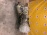 АКПП TOYOTA 1HD-FTE A442F / 35000-60600 LAND CRUISER HDJ101 '1998-2003
