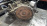 АКПП Mitsubishi 4D68 F4A421M8A2 2WD с фильтром Lancer CK8A