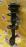 Стойка TOYOTA ZZE136/ZZE137/ZZE138 Voltz перед, прав