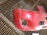 Бампер TOYOTA RAV4 ACA30 '08.2008-12.2012 перед (брак) 52119-42710 (Красный)