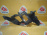 Крепление фары BMW X5 E53 '-2003 до рест. Hella 151835 L 63128386709