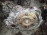 АКПП TOYOTA 3S-GTE U140F 4WD 30130-21140 ST246