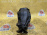 Редуктор Mercedes W203 C-Class M271 '2002 R 3.07 БЕЗ ФЛАНЦА A2033509314