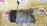 Компрессор кондиционера Nissan VQ25/VQ35 Teana/Murano J32/Z51 92600-JP00B / 92600-JP01C / -JP00C / GR92F-JP00D/-1JA1A/-ZN41A