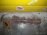 Коллектор выпускной TOYOTA 2UZ-FE Land Cruiser UZJ100 R 17104-50120