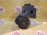 Гидроусилитель Mercedes M272 E-Class W211/W219 '2006 Luk 128bar A0054662001