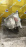 Раздатка Mitsubishi 4G63-T Airtrek/Outlander CU2 CU4 a/t ТУРБО 36+2 зуба ( шлиц крупный ) MR 980315