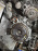 АКПП Honda J35A MJBA 4WD Legend KB1