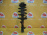 Стойка Toyota SXU10/ACU10 Harrier перед, прав 2WD