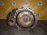 АКПП Volkswagen Golf 4 AZJ/APK/AQY 2.0 4AT FDG (68/15) дефект фишки 01M300032M 1J1/1U2 '2003