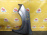 Крыло Opel Astra H A04/L08/L48/L35/L70 '2004-2015 перед, лев под повторитель, с креплением бампера (царапины, вмятина) 93178666 (Серый)