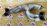 Коллектор выпускной Subaru EJ203/EJ204/EJ253 Legacy BP9/GE7/GH7/BL5/BP5 '2004- 44105AG040