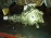 Раздатка Mitsubishi 4G64-GDI Chariot Grandis N94W a/t W4A422U3C