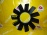Крыльчатка BMW M52B20/M54B30 X5 E46/E39/E38/E53 11 лопастей D=420MM 11521712058