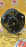 Стойка TOYOTA/Lexus MCU35/GSU35 Harrier#RX330 перед, лев 4WD (пневмо)