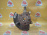 Ступица SsangYong CK/C200 New Actyon '2010- перед, прав ABS (без суппорта и диска) дефект подшипника 4122134000