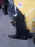 Крыло HONDA CR-V RE4 перед, лев дефект (Черный)