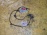 Датчик ABS Suzuki SX4 YB11S перед, прав 56210-79J00