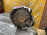 АКПП Mazda L8DE UM800 2WD Bongo SKP2T