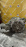 АКПП Nissan MR20DD 31020-3TX2D 4WD CVT I-STOP СЛОМАН РАЗЪЁМ Serena C26