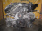 Двигатель BMW X3 M54B25/256S5-25185923 4WD (дефект крышки клапанов) 11000140990 E83 '2005