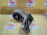 Подушка двигателя Chevrolet LD9/Z24SED Captiva C100 4WD 5AT 2.4 R