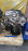 Двигатель Toyota 2ZZ-GE-0070697 Corolla ZZE12