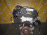 Двигатель Chevrolet Aveo LDE/F16D4-318189KA Без навесного! Япония 25196860 T300 '2011