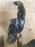 Подкрылок HONDA Accord CU2/CW2 перед, лев дефект 74151-TL0-G000